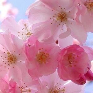 Meet your Posher, Connie